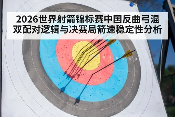 archery target arrows close up